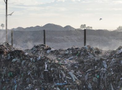Garbage dump Longest lasting items