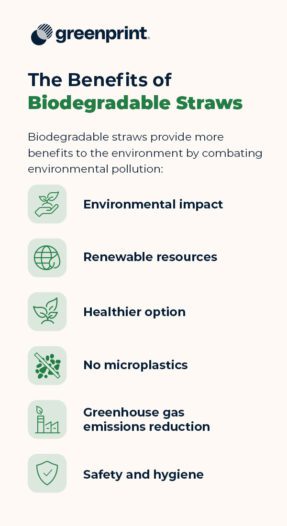 The Benefits of Biodegradable Straws