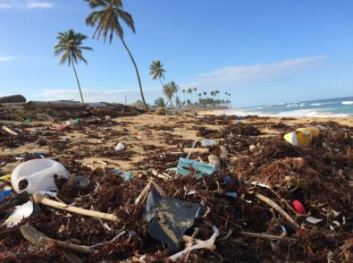 a pile of trash on a beach with palm trees in the background