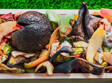 Commercial Composting