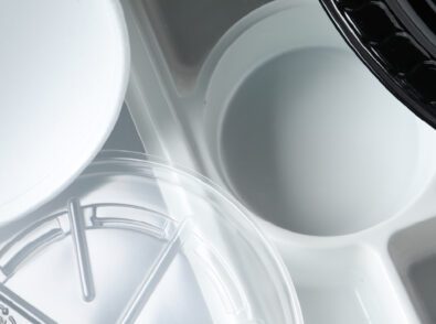 The Evolution of Plastic Regulation