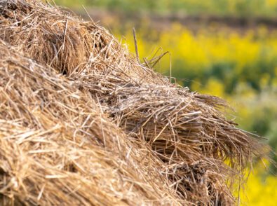 Agricultural agricultural waste material innovation
