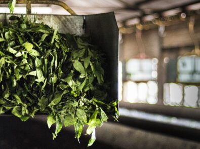 Is industrial composting lower carbon than landfill