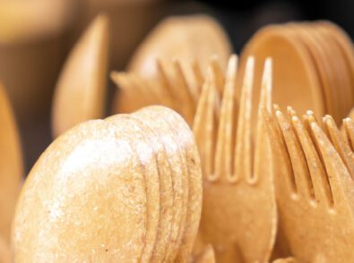 Origin of Compostable Tableware