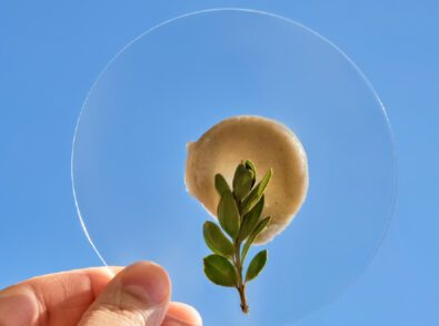 The Future of Bioplastics