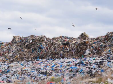 What Really Happens to Plastic Foodware in Landfills