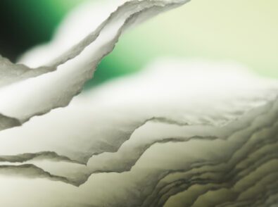Paperization Trend Why Brands Are Replacing Plastic Laminates with Fiber Based Barriers