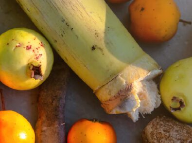 What is an Agricultural Waste Stream