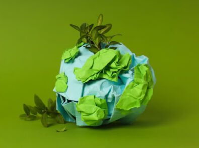 Meaningless Ecocertifications