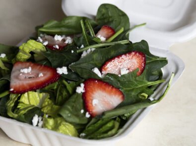 Best compostable food containers