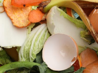 Food waste composting