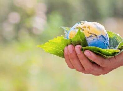 Earth Day Facts The Numbers Behind the Environmental Crisis
