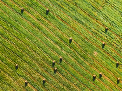 Regenerative Farming