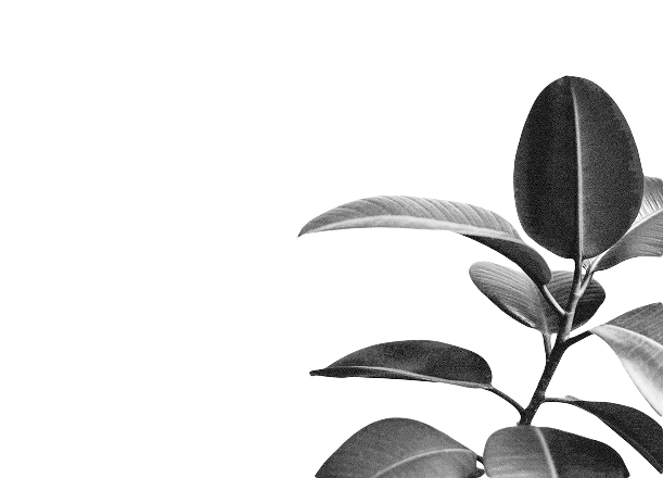 sustainability