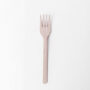 Fork 1