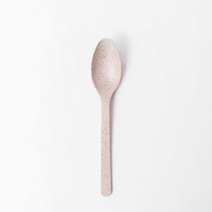 Spoon 1