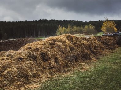 Tractor harvests hay