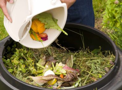 a person is pouring vegetables into a compost bin