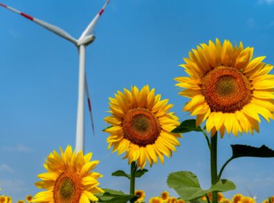 renewable resources