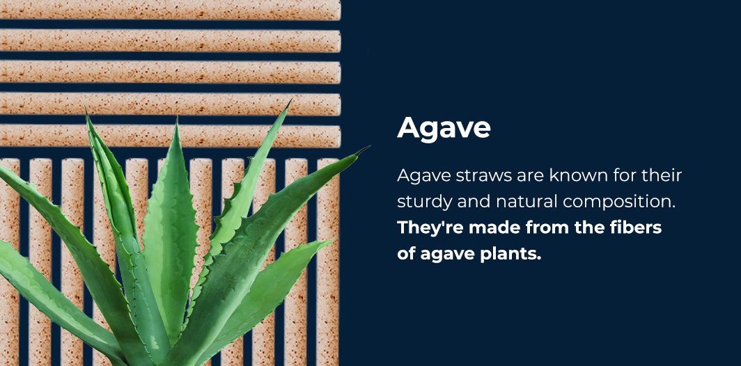 Agave straws are known for their sturdy and natural composition 