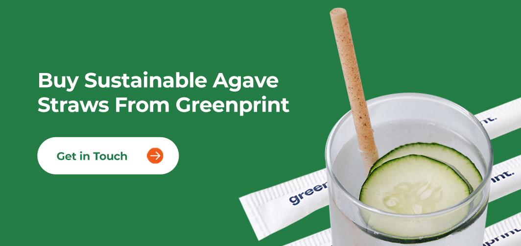 Buy Sustainable Agave Straws From Greenprint