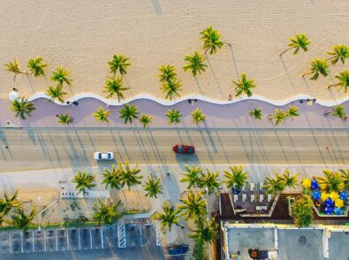 an aerial view of a Miami beach with palm trees