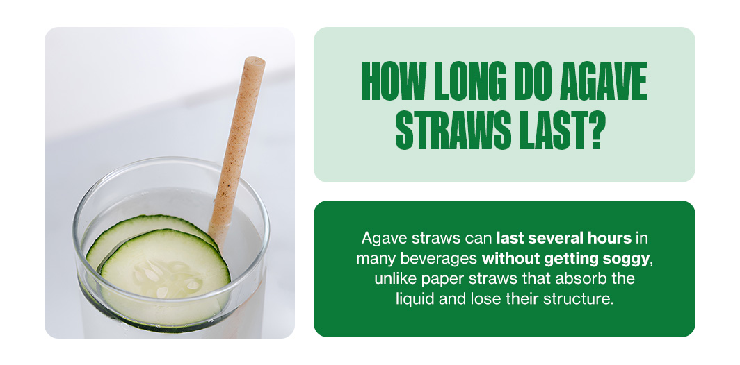 How Long Do Agave Straws Last? 