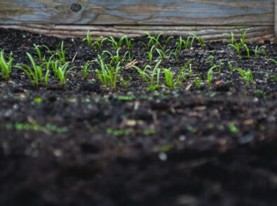 Industrial Compostable Hero image