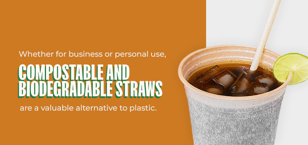 Sustainable Alternatives to Plastic Straws