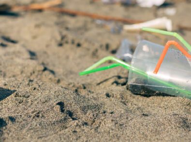 South Carolina Plastic Bans