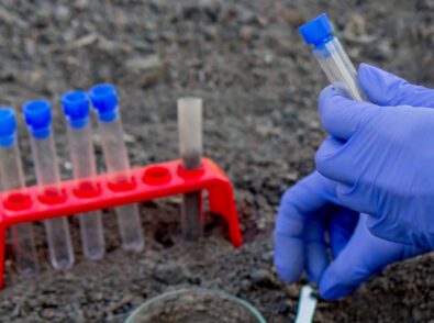 The Science Behind Compostability Testing