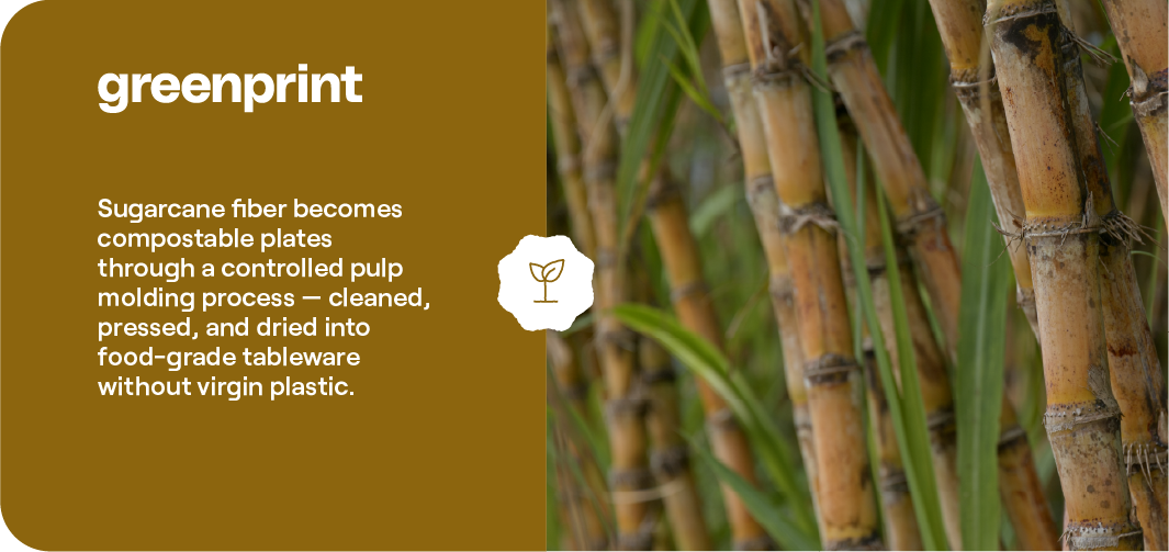 Sugarcane stalks and Greenprint branding showing how sugarcane fiber becomes compostable plates through pulp molding