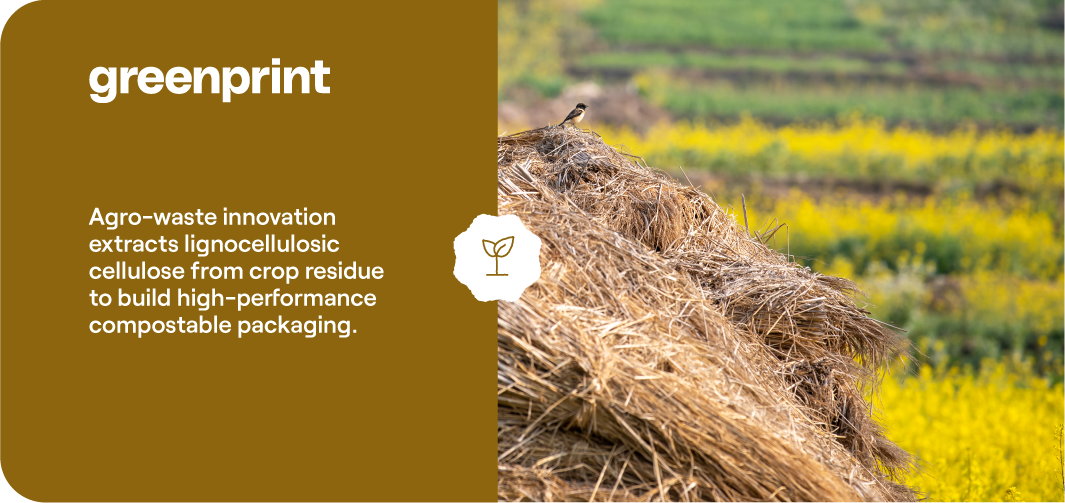 Crop residue bundle stacked in agricultural field showing raw materials used for compostable packaging production