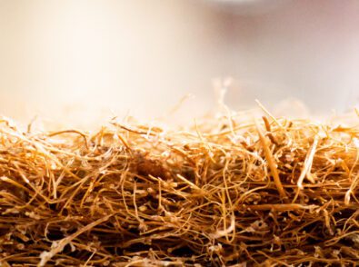 How is Bagasse Made