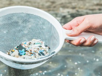 Microplastics in the Ocean How They Get There and Why It Matters