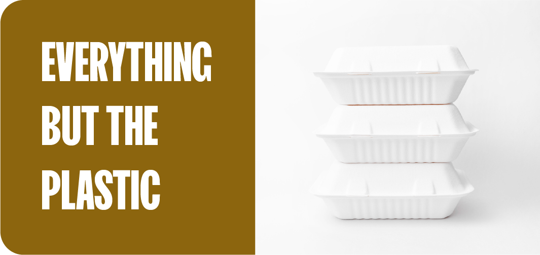 78 Best compostable food containers 4
