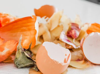 The Environmental Impact of Food Waste Why What We Throw Away Matters